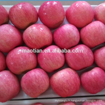 Apple Fuji Rosy rougissent pour l&#39;Indonésie